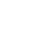 car wite